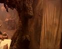 PDVD_1375