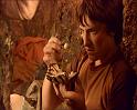 PDVD_1377