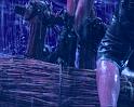 PDVD_1576