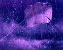 PDVD_1612