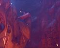 PDVD_2185