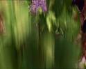 PDVD_2237