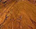 PDVD_329