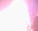 PDVD_528