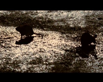 PDVD_1522.jpg