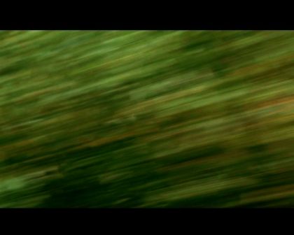 PDVD_1779.jpg