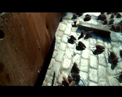 PDVD_2184.jpg