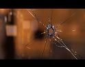 PDVD_062