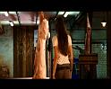 PDVD_1200