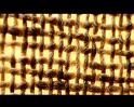 PDVD_1256