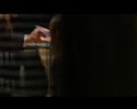 PDVD_1316