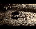 PDVD_1523