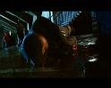 PDVD_1588