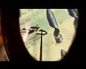 PDVD_1639