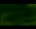 PDVD_1780