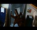 PDVD_1898