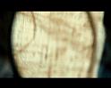 PDVD_2055