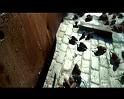 PDVD_2184