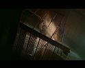 PDVD_2280