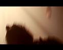 PDVD_2288