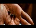 PDVD_465