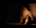 PDVD_513