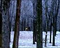 PDVD_1381