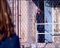 PDVD_1441