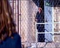 PDVD_1442