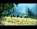 PDVD_034