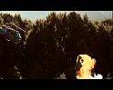 PDVD_1133