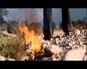 PDVD_1169