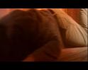 PDVD_1340