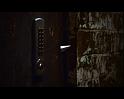 PDVD_1646