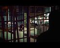 PDVD_1688