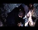 PDVD_1695