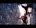 PDVD_1697