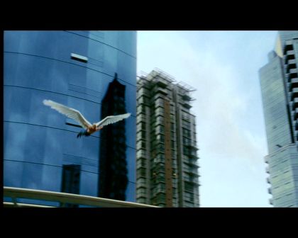 PDVD_1029.jpg