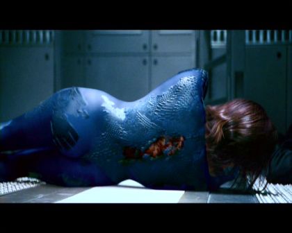 PDVD_1169.jpg