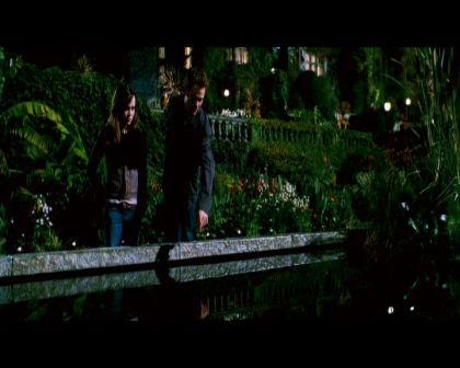 PDVD_1775.jpg