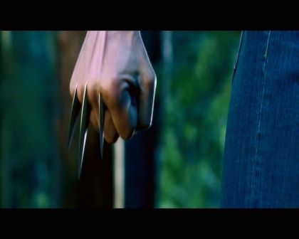 PDVD_2135.jpg