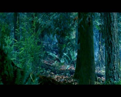 PDVD_2164.jpg
