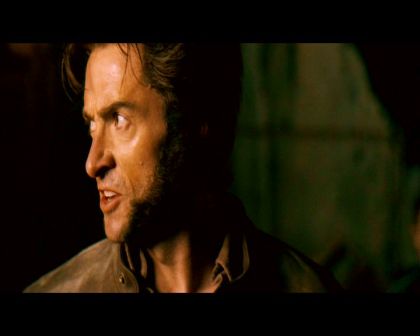 PDVD_219.jpg