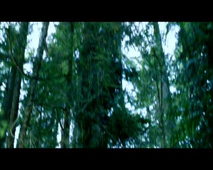 PDVD_2292.jpg