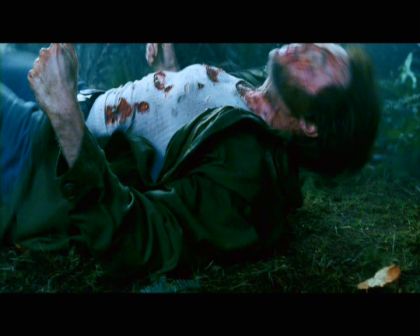 PDVD_2294.jpg