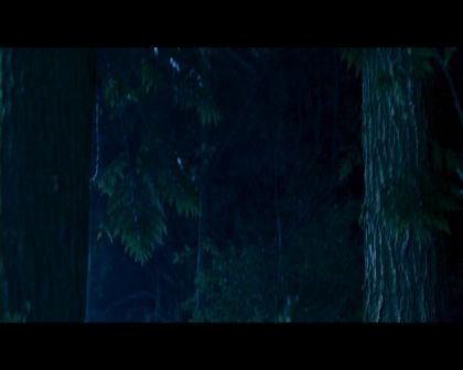PDVD_2312.jpg