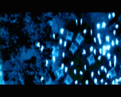 PDVD_2321.jpg