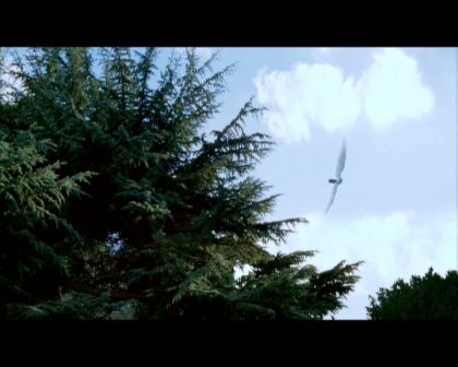 PDVD_3470.jpg