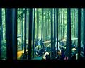 PDVD_1967