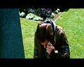 PDVD_1975